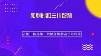 兩家儀器儀表企業榮獲工信部服務型制造示范稱號，引領信息系統集成服務新篇章